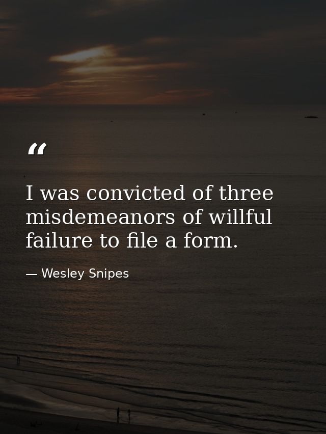 I was convicted of three misdemeanors of willful failure to file a form. — Wesley Snipes