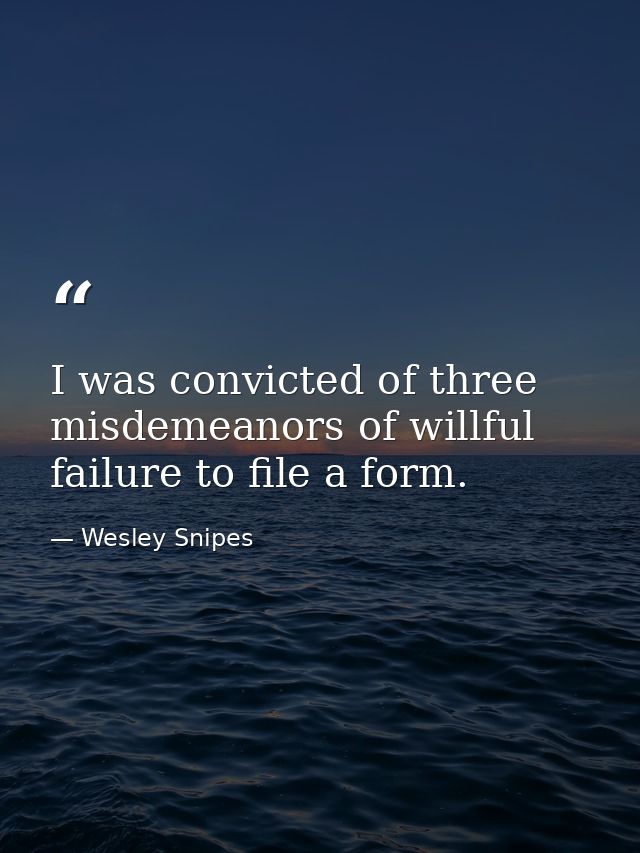 I was convicted of three misdemeanors of willful failure to file a form. — Wesley Snipes