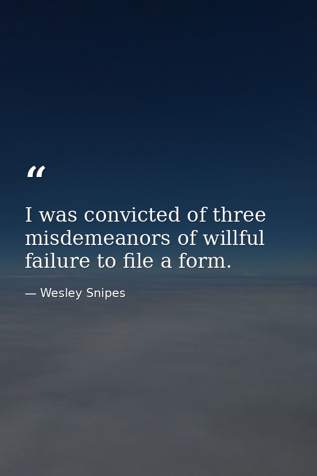 I was convicted of three misdemeanors of willful failure to file a form. — Wesley Snipes