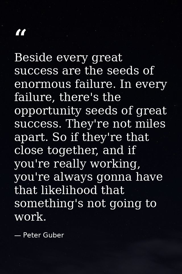 Beside every great success are the seeds of enormous failure. In every failure, there's the opportunity seeds of great s — Peter Guber