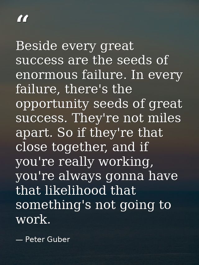 Beside every great success are the seeds of enormous failure. In every failure, there's the opportunity seeds of great s — Peter Guber