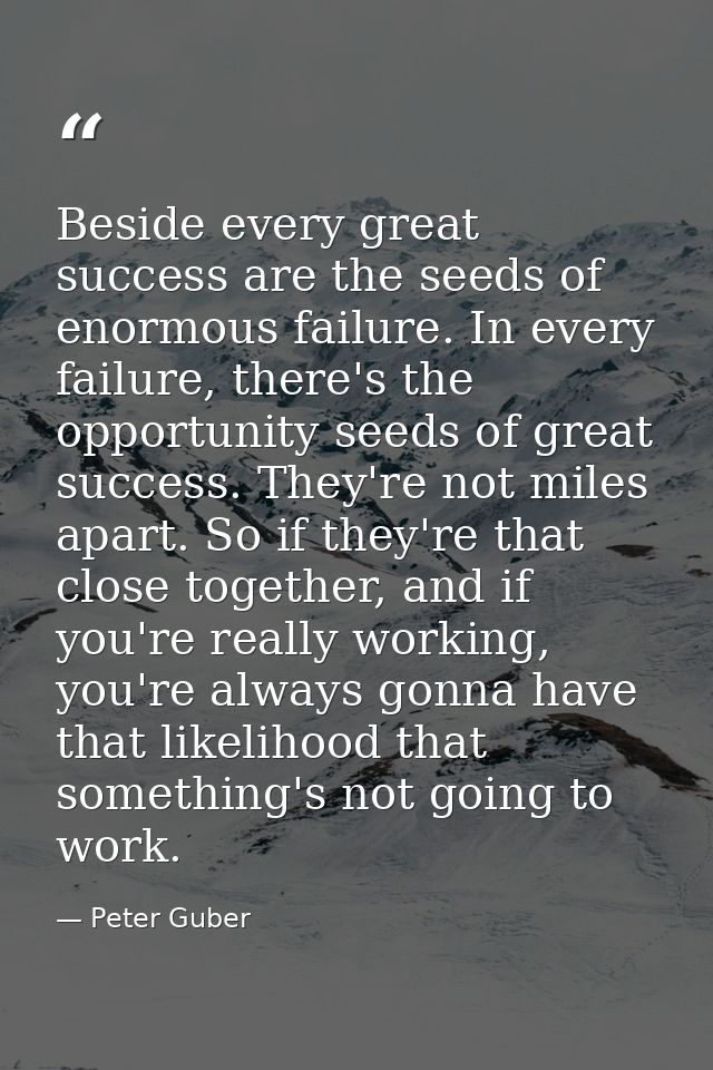 Beside every great success are the seeds of enormous failure. In every failure, there's the opportunity seeds of great s — Peter Guber