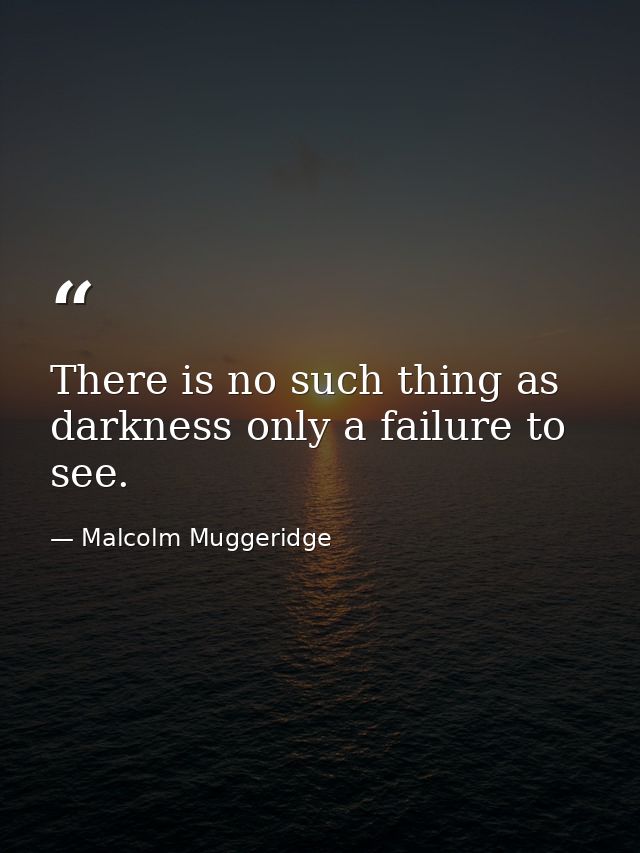 There is no such thing as darkness only a failure to see. — Malcolm Muggeridge