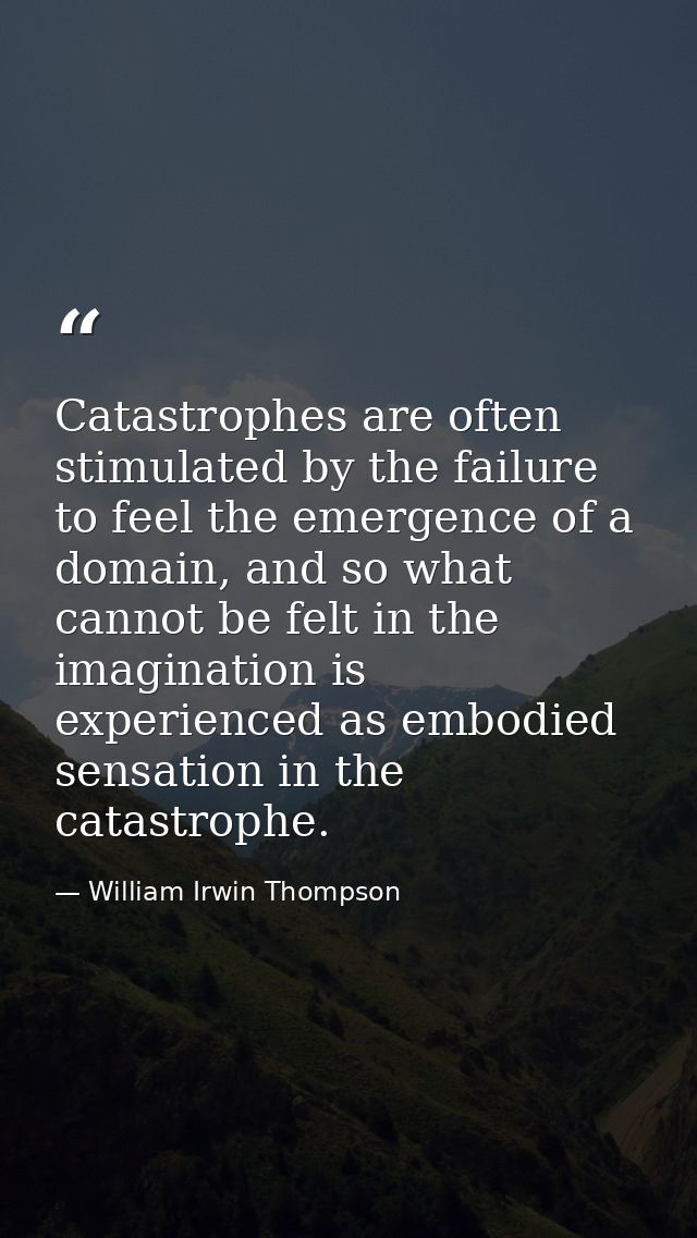 Catastrophes are often stimulated by the failure to feel the emergence of a domain, and so what cannot be felt in the im — William Irwin Thompson
