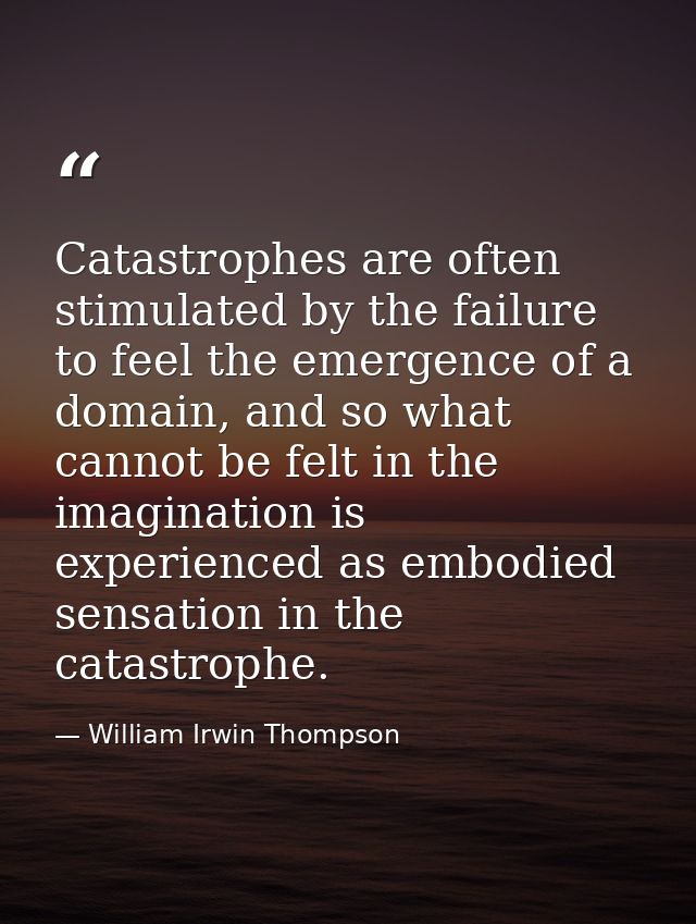 Catastrophes are often stimulated by the failure to feel the emergence of a domain, and so what cannot be felt in the im — William Irwin Thompson