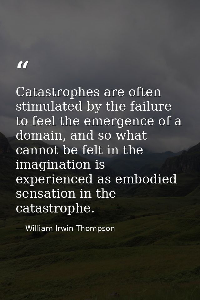 Catastrophes are often stimulated by the failure to feel the emergence of a domain, and so what cannot be felt in the im — William Irwin Thompson