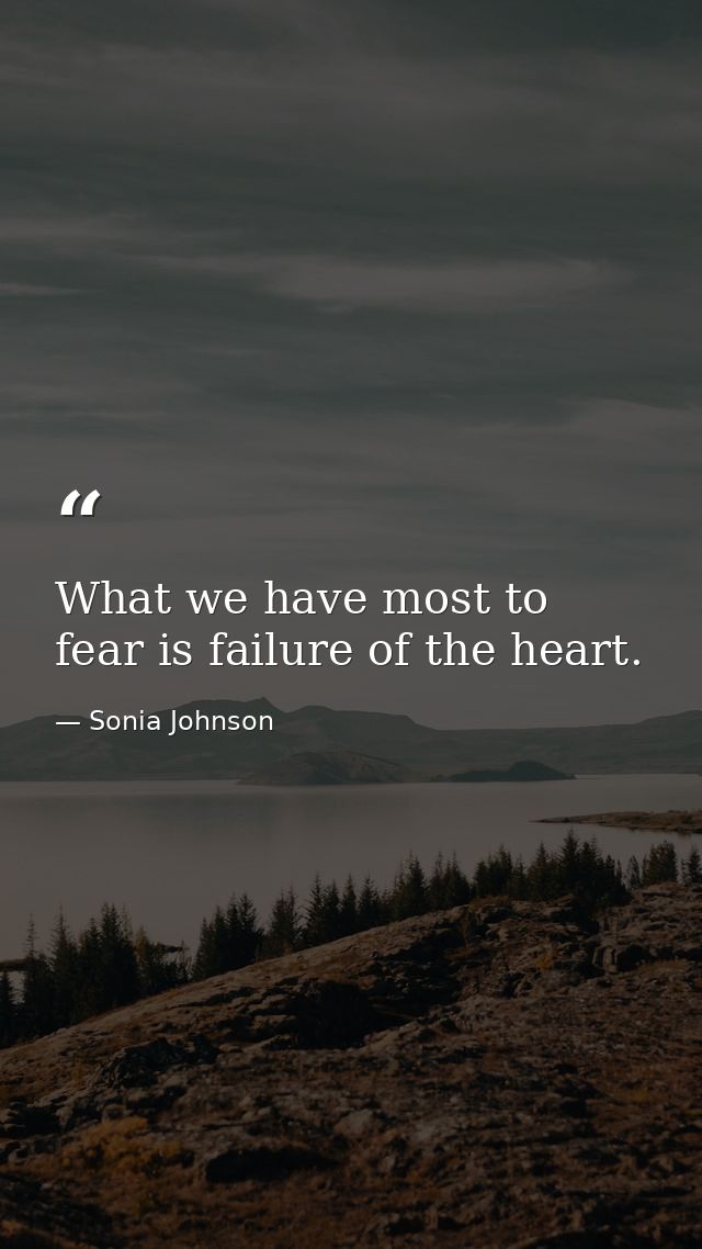 What we have most to fear is failure of the heart. — Sonia Johnson