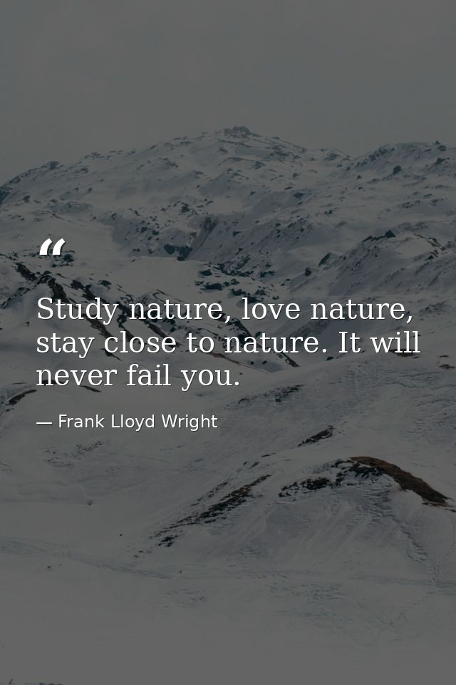 Study nature, love nature, stay close to nature. It will never fail you. — Frank Lloyd Wright