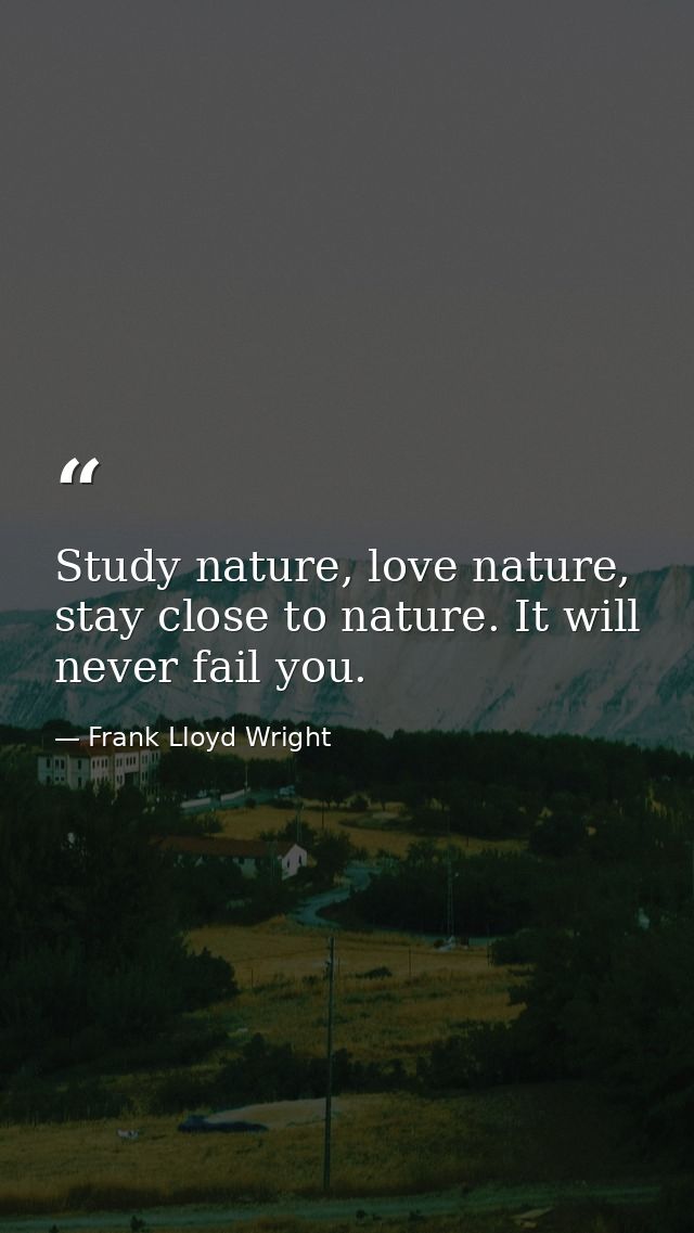 Study nature, love nature, stay close to nature. It will never fail you. — Frank Lloyd Wright