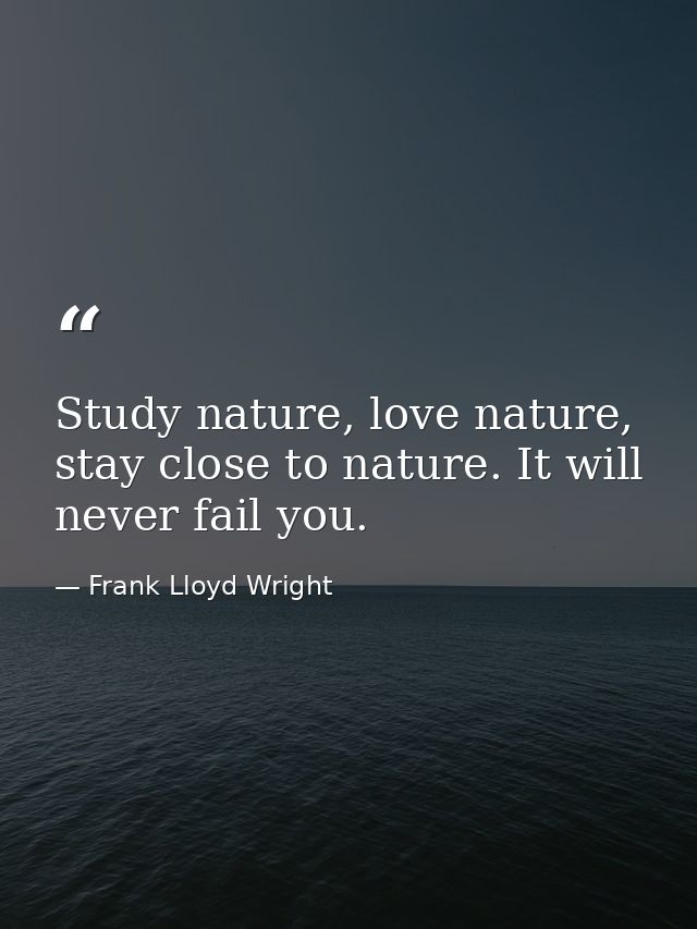 Study nature, love nature, stay close to nature. It will never fail you. — Frank Lloyd Wright