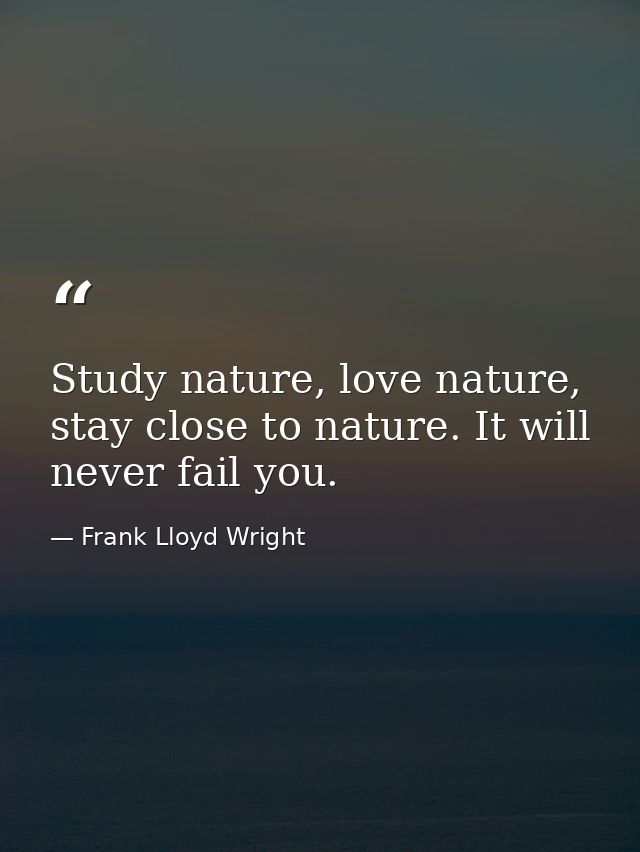 Study nature, love nature, stay close to nature. It will never fail you. — Frank Lloyd Wright