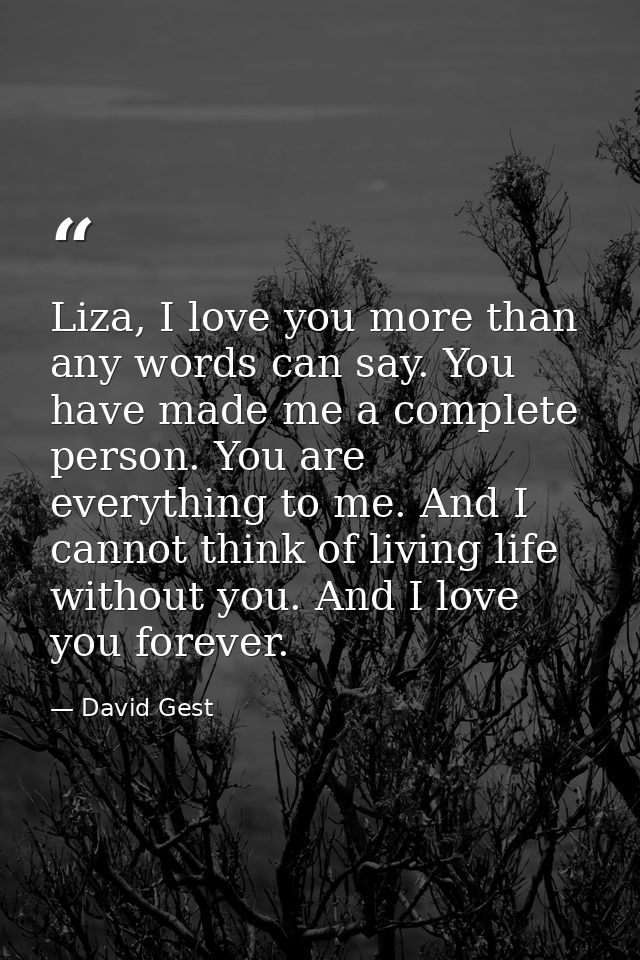 Liza, I love you more than any words can say. You have made me a complete person. You are everything to me. And I cannot — David Gest