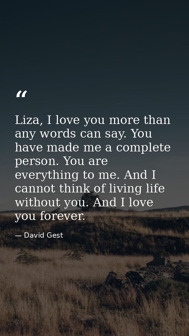 Liza, I love you more than any words can say. You have made me a complete person. You are everything to me. And I cannot — David Gest