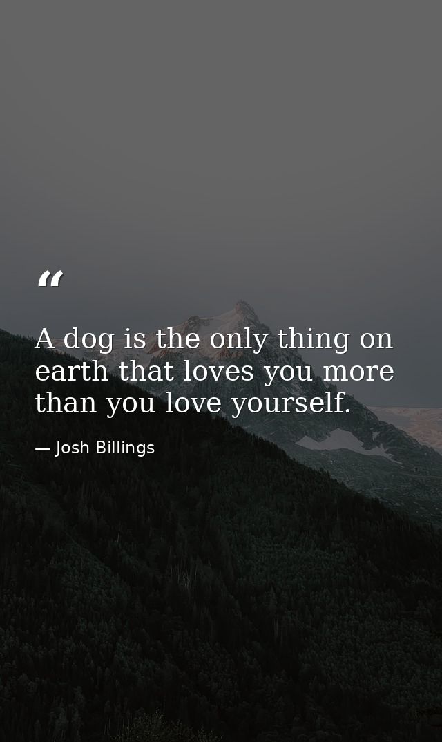 A dog is the only thing on earth that loves you more than you love yourself. — Josh Billings