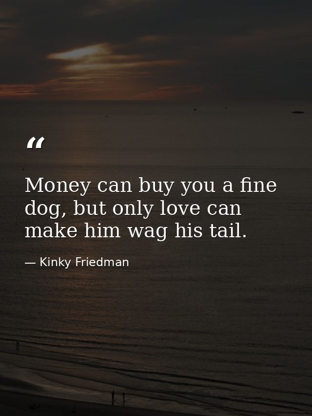 Money can buy you a fine dog, but only love can make him wag his tail. — Kinky Friedman