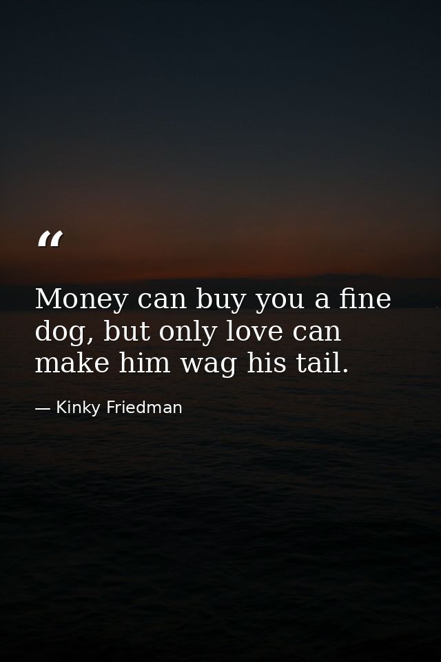 Money can buy you a fine dog, but only love can make him wag his tail. — Kinky Friedman