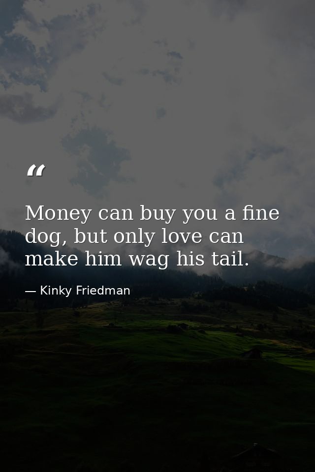Money can buy you a fine dog, but only love can make him wag his tail. — Kinky Friedman