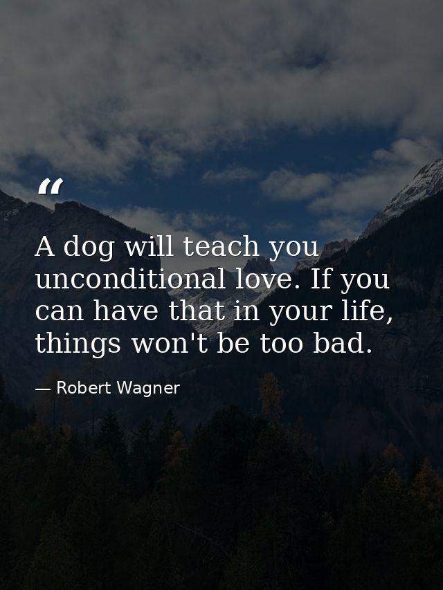 A dog will teach you unconditional love. If you can have that in your life, things won't be too bad. — Robert Wagner