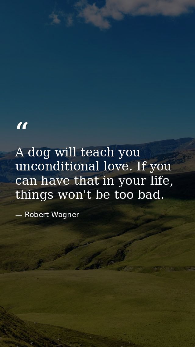 A dog will teach you unconditional love. If you can have that in your life, things won't be too bad. — Robert Wagner
