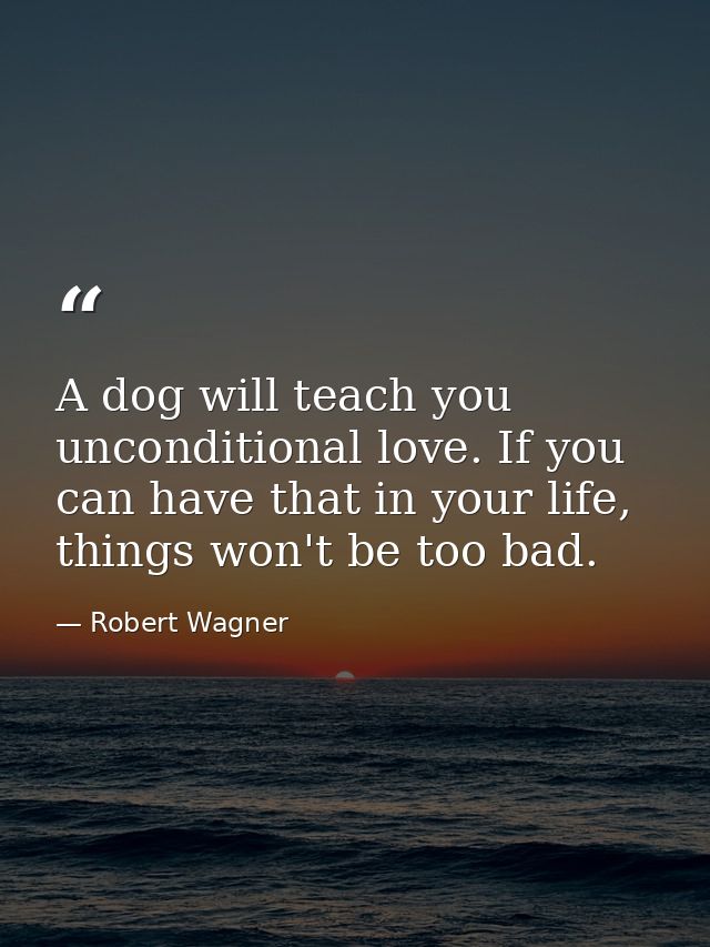A dog will teach you unconditional love. If you can have that in your life, things won't be too bad. — Robert Wagner