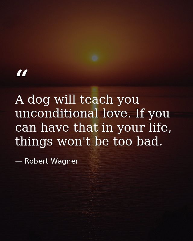 A dog will teach you unconditional love. If you can have that in your life, things won't be too bad. — Robert Wagner