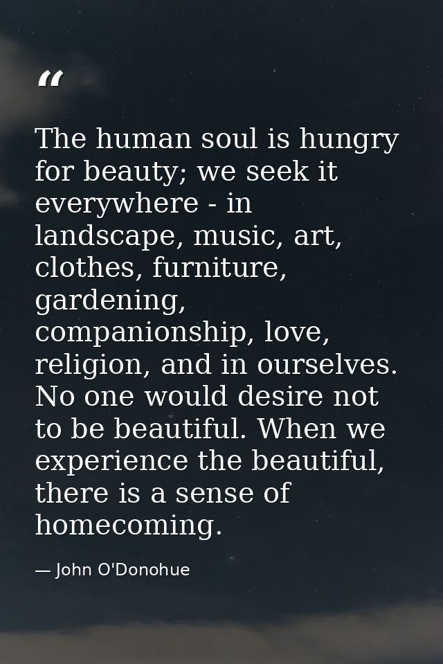 The human soul is hungry for beauty; we seek it everywhere - in landscape, music, art, clothes, furniture, gardening, co — John O'Donohue