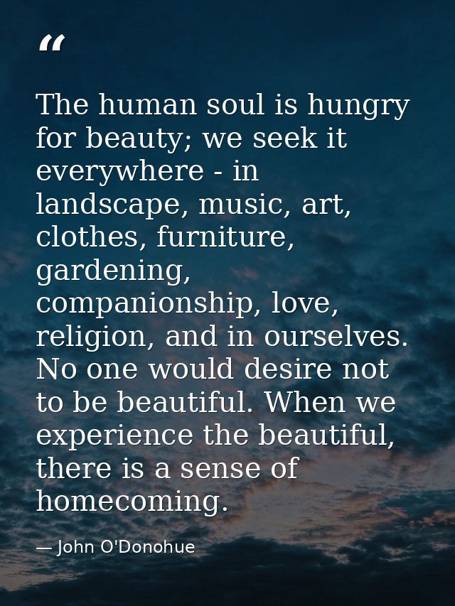 The human soul is hungry for beauty; we seek it everywhere - in landscape, music, art, clothes, furniture, gardening, co — John O'Donohue