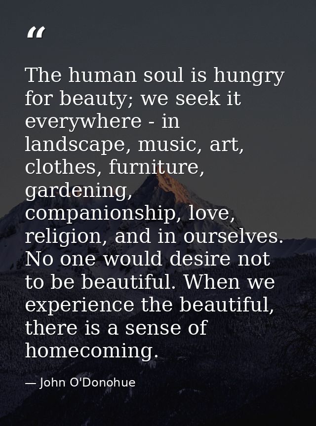 The human soul is hungry for beauty; we seek it everywhere - in landscape, music, art, clothes, furniture, gardening, co — John O'Donohue