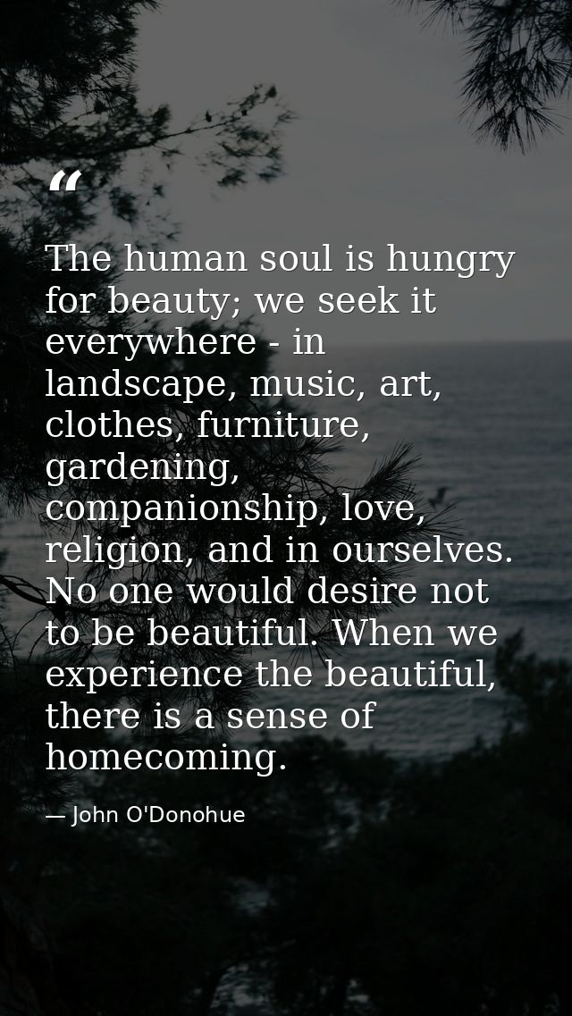The human soul is hungry for beauty; we seek it everywhere - in landscape, music, art, clothes, furniture, gardening, co — John O'Donohue