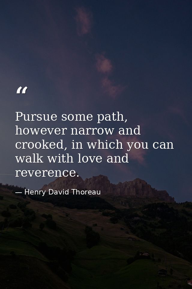 Pursue some path, however narrow and crooked, in which you can walk with love and reverence. — Henry David Thoreau