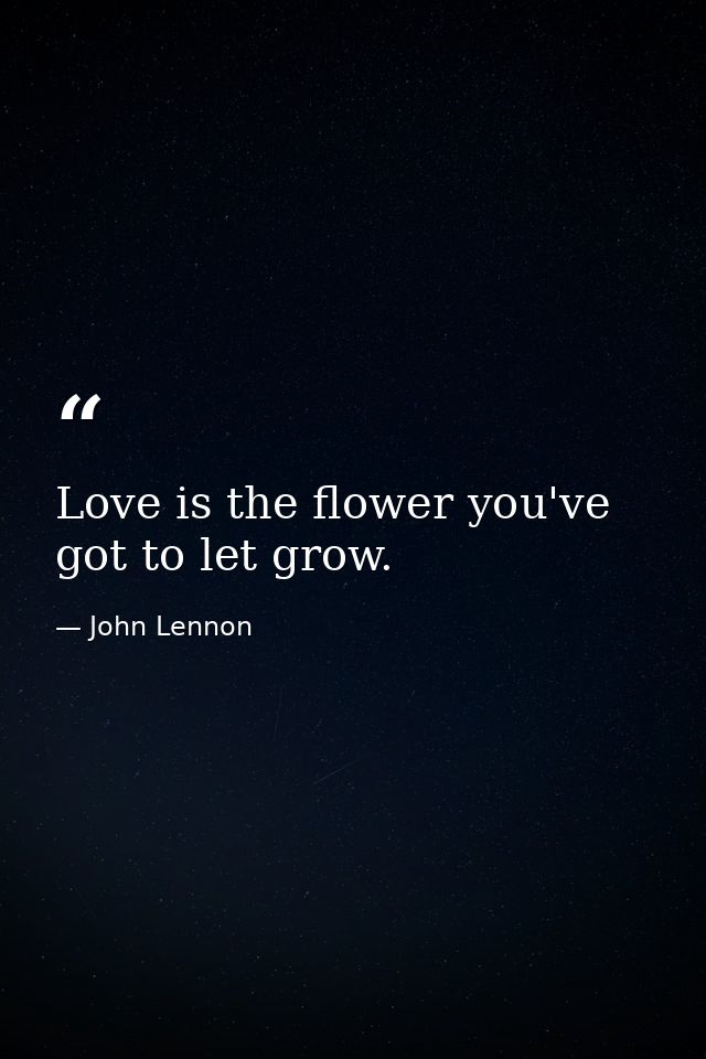 Love is the flower you've got to let grow. — John Lennon