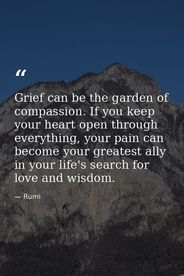 Grief can be the garden of compassion. If you keep your heart open through everything, your pain can become your greates — Rumi