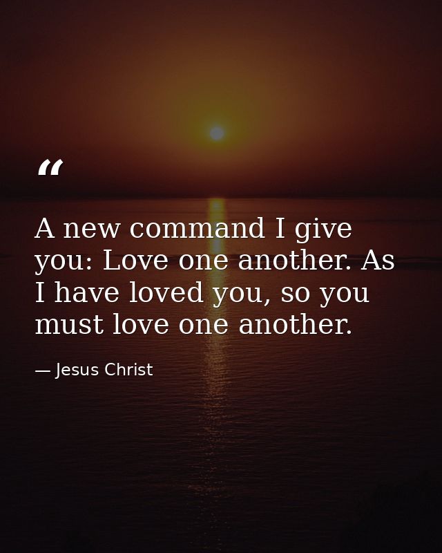 A new command I give you: Love one another. As I have loved you, so you must love one another. — Jesus Christ