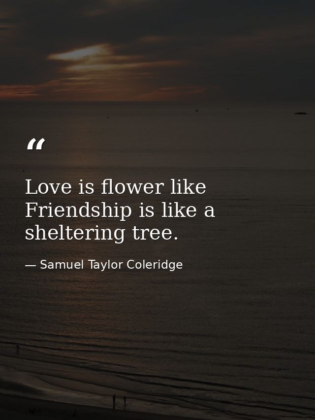 Love is flower like Friendship is like a sheltering tree. — Samuel Taylor Coleridge