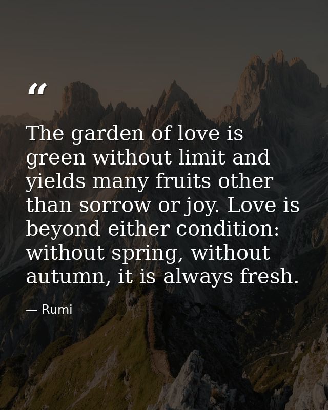 The garden of love is green without limit and yields many fruits other than sorrow or joy. Love is beyond either conditi — Rumi