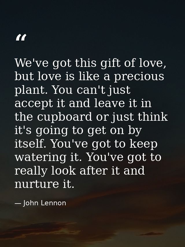 We've got this gift of love, but love is like a precious plant. You can't just accept it and leave it in the cupboard or — John Lennon