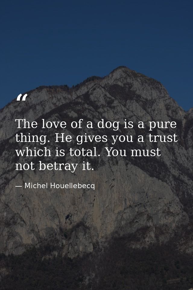 The love of a dog is a pure thing. He gives you a trust which is total. You must not betray it. — Michel Houellebecq