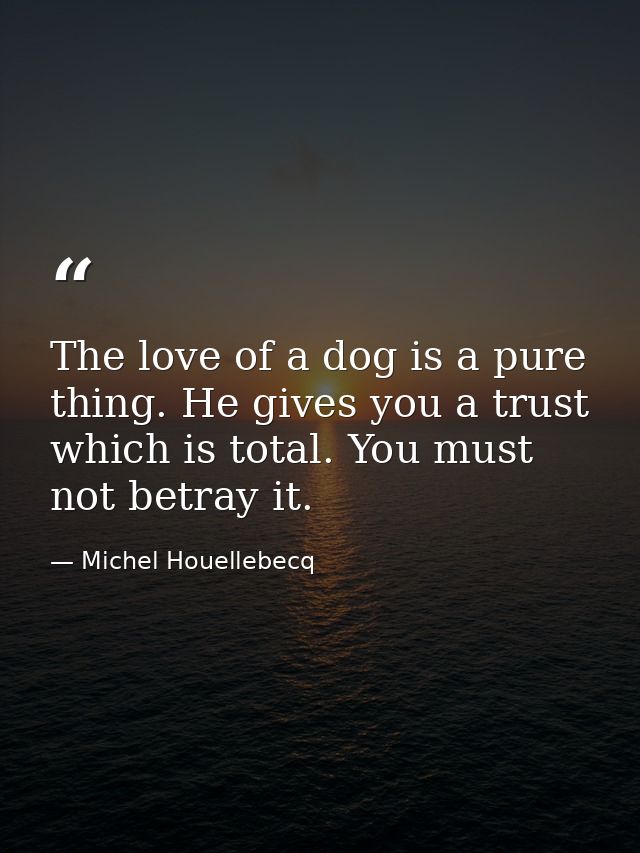 The love of a dog is a pure thing. He gives you a trust which is total. You must not betray it. — Michel Houellebecq