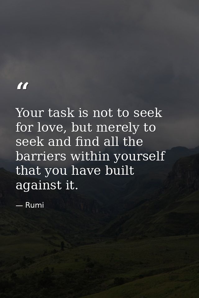 Your task is not to seek for love, but merely to seek and find all the barriers within yourself that you have built agai — Rumi