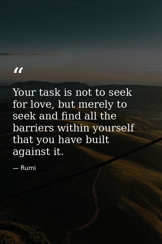 Your task is not to seek for love, but merely to seek and find all the barriers within yourself that you have built agai — Rumi