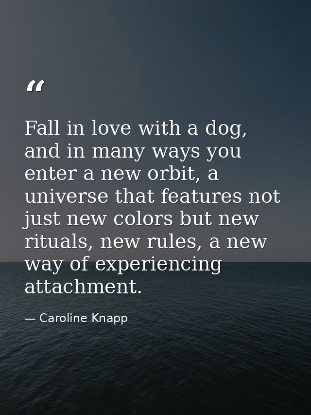 Fall in love with a dog, and in many ways you enter a new orbit, a universe that features not just new colors but new ri — Caroline Knapp