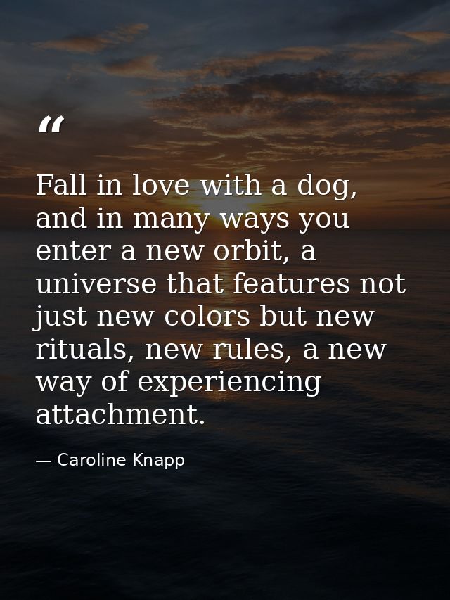 Fall in love with a dog, and in many ways you enter a new orbit, a universe that features not just new colors but new ri — Caroline Knapp