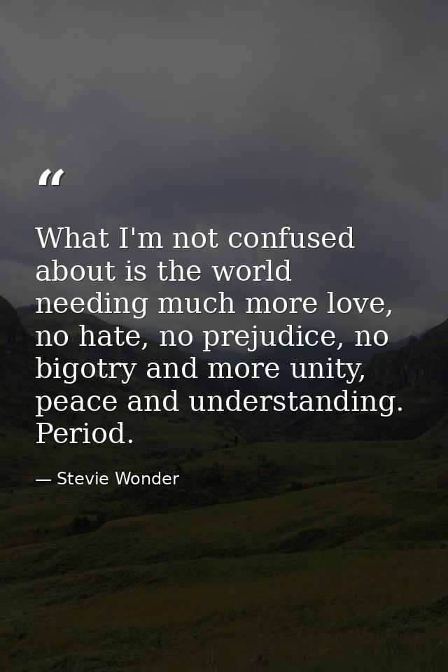 What I'm not confused about is the world needing much more love, no hate, no prejudice, no bigotry and more unity, peace — Stevie Wonder