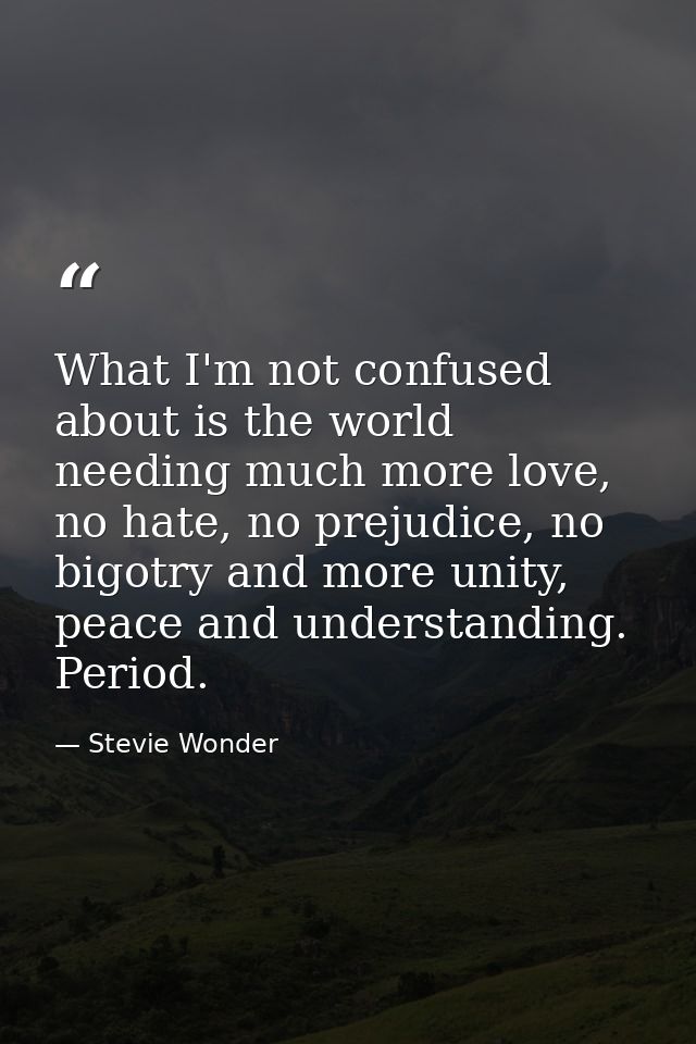 What I'm not confused about is the world needing much more love, no hate, no prejudice, no bigotry and more unity, peace — Stevie Wonder