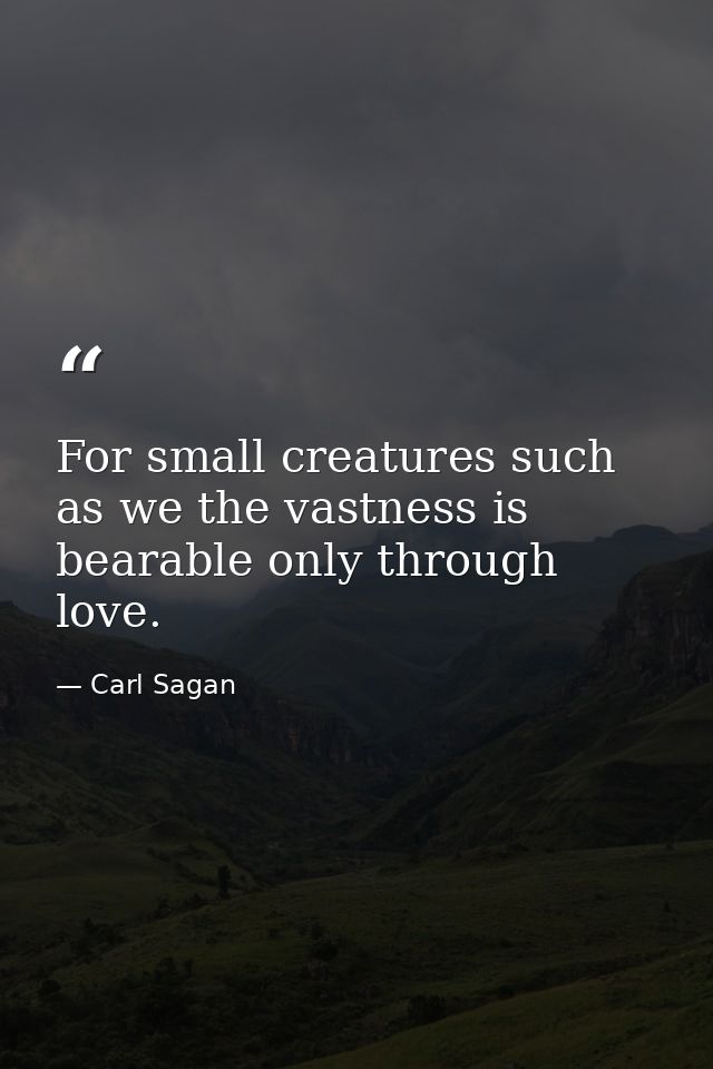 For small creatures such as we the vastness is bearable only through love. — Carl Sagan