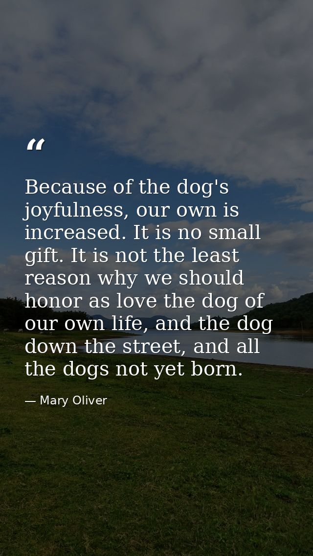 Because of the dog's joyfulness, our own is increased. It is no small gift. It is not the least reason why we should hon — Mary Oliver