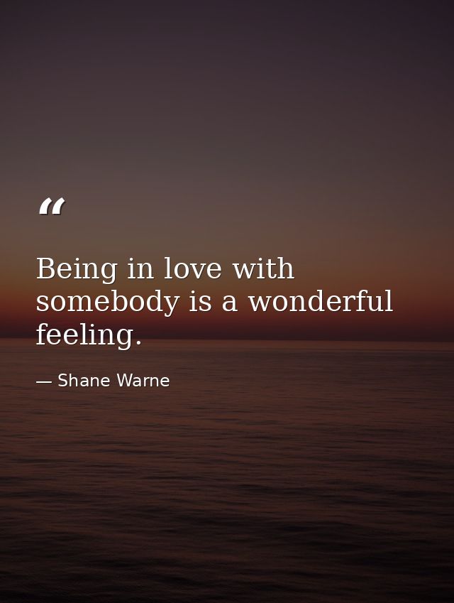 Being in love with somebody is a wonderful feeling. — Shane Warne