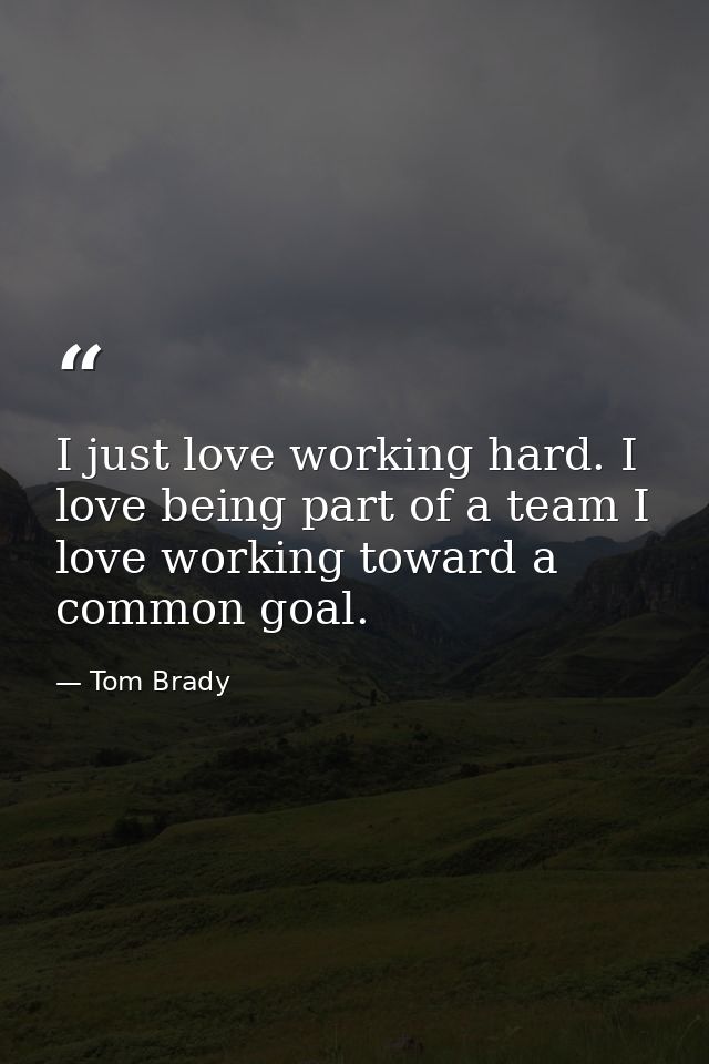 I just love working hard. I love being part of a team I love working toward a common goal. — Tom Brady