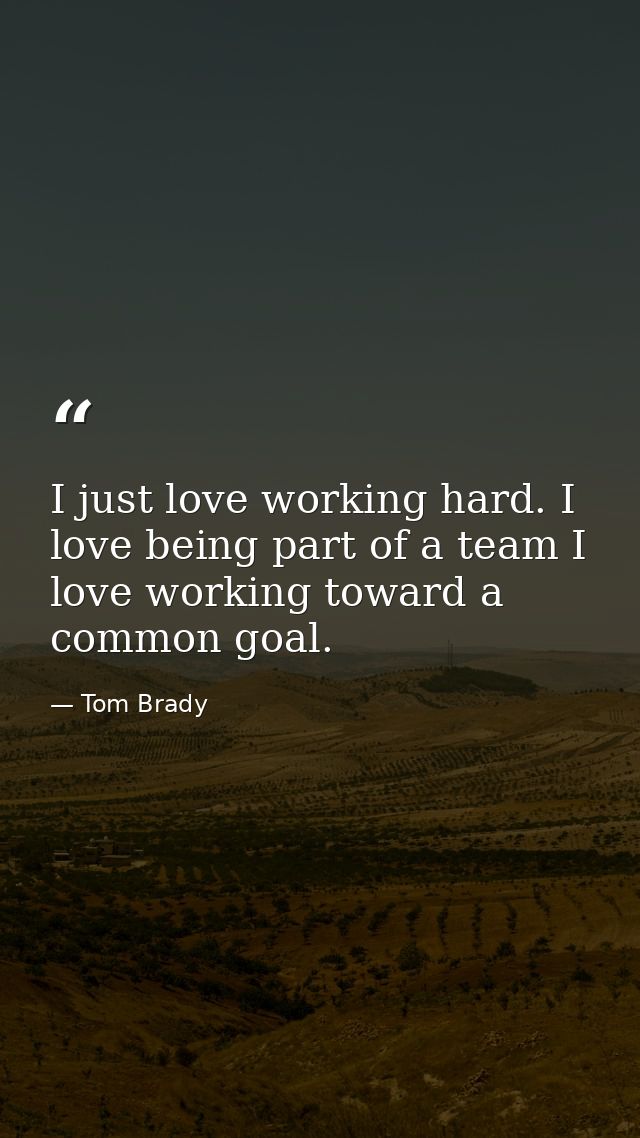 I just love working hard. I love being part of a team I love working toward a common goal. — Tom Brady
