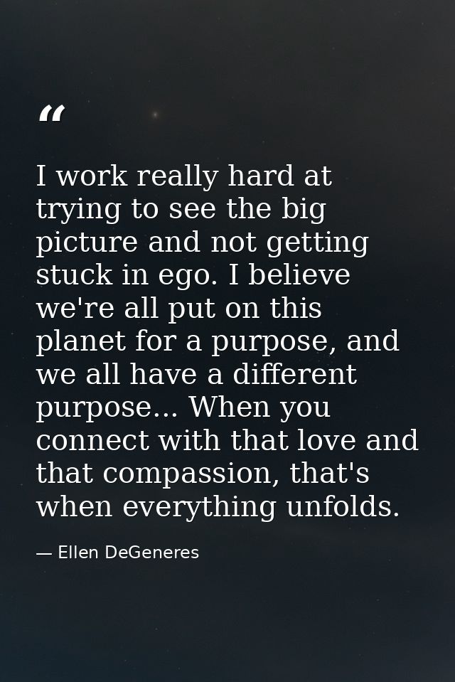 I work really hard at trying to see the big picture and not getting stuck in ego. I believe we're all put on this planet — Ellen DeGeneres